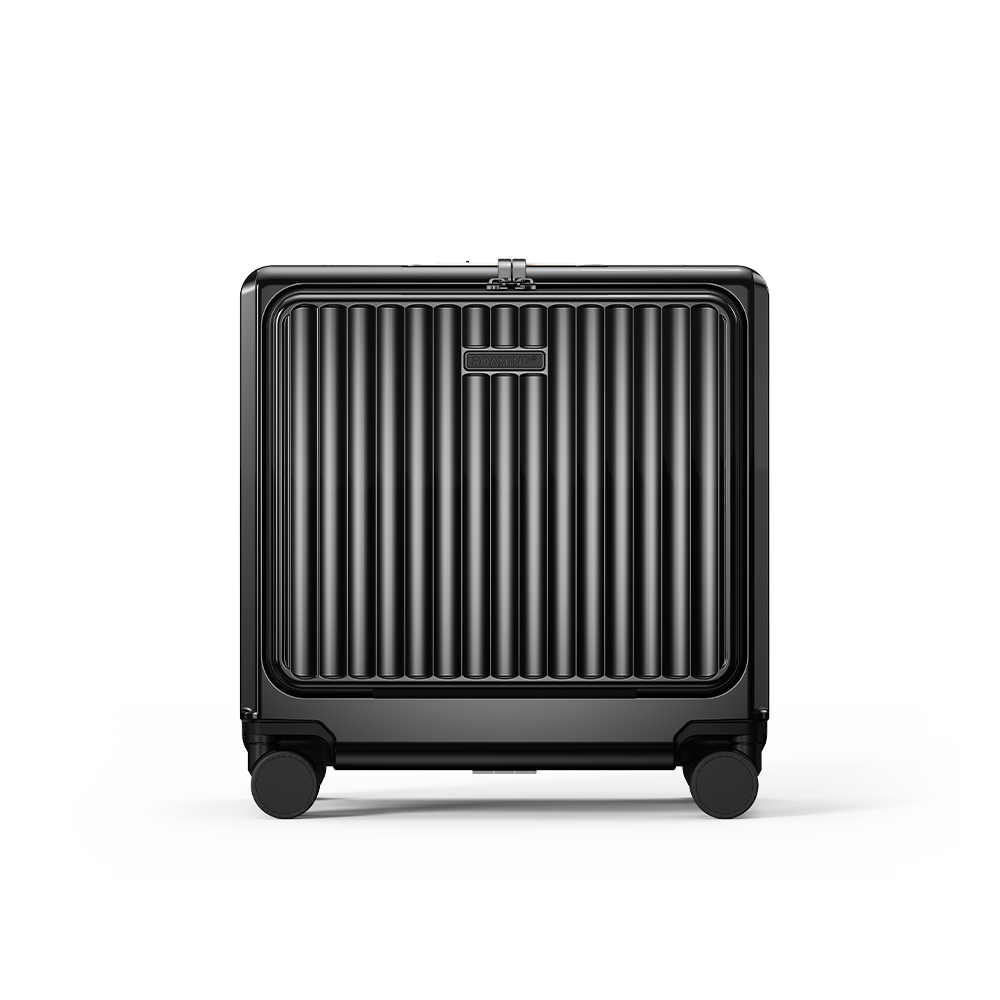 Carry-On 18"