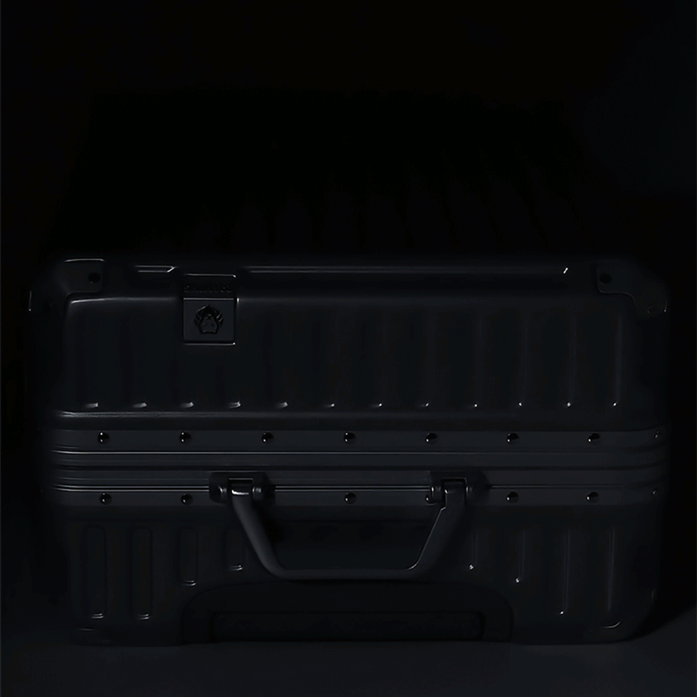 More Than Just Luggage